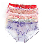 Sexy Transparent Women's Panties Super Thin Breathable Perspective Brief Underwear For Women Floral Mesh Female Lingerie Panty